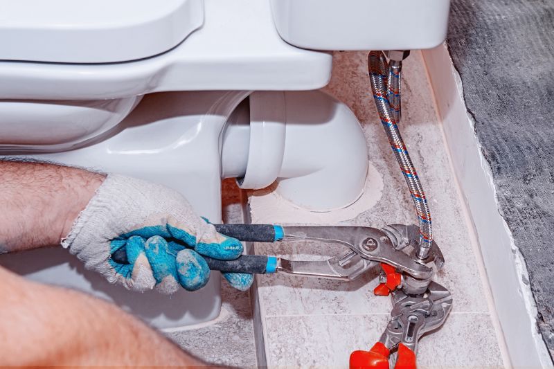 Toilet Snaking detail