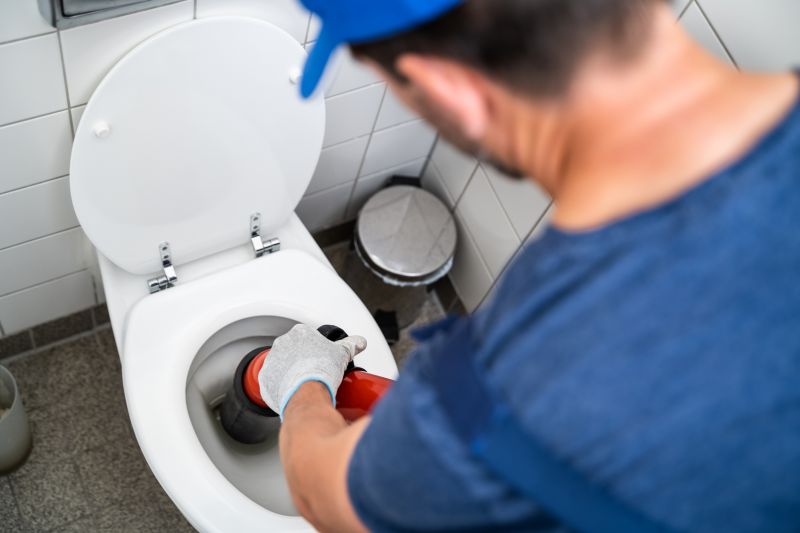 Toilet Snaking